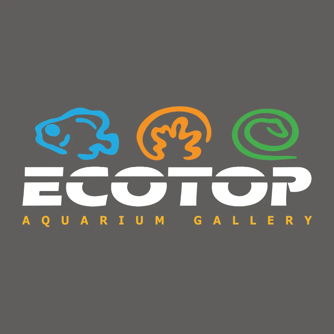 Ecotop Gallery
